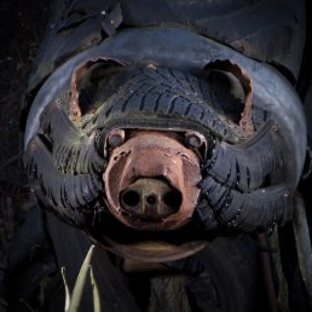 Haluatko mukaan? Liity jäseneksi Alpon savannin ystäviin!